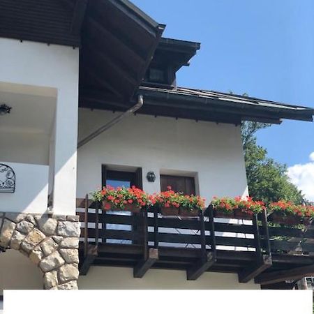 La Casa Di Monte Ricco Apartment Pieve di Cadore Luaran gambar