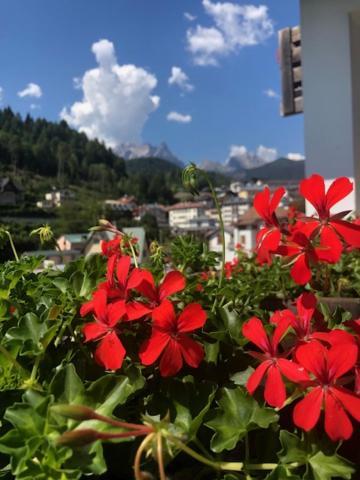 La Casa Di Monte Ricco Apartment Pieve di Cadore Luaran gambar