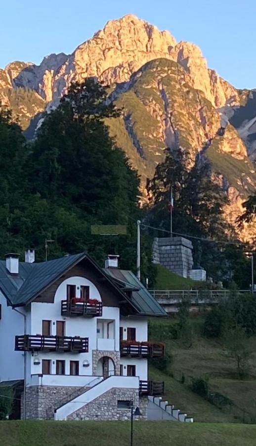 La Casa Di Monte Ricco Apartment Pieve di Cadore Luaran gambar