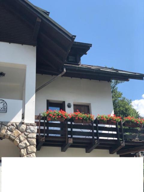 La Casa Di Monte Ricco Apartment Pieve di Cadore Luaran gambar