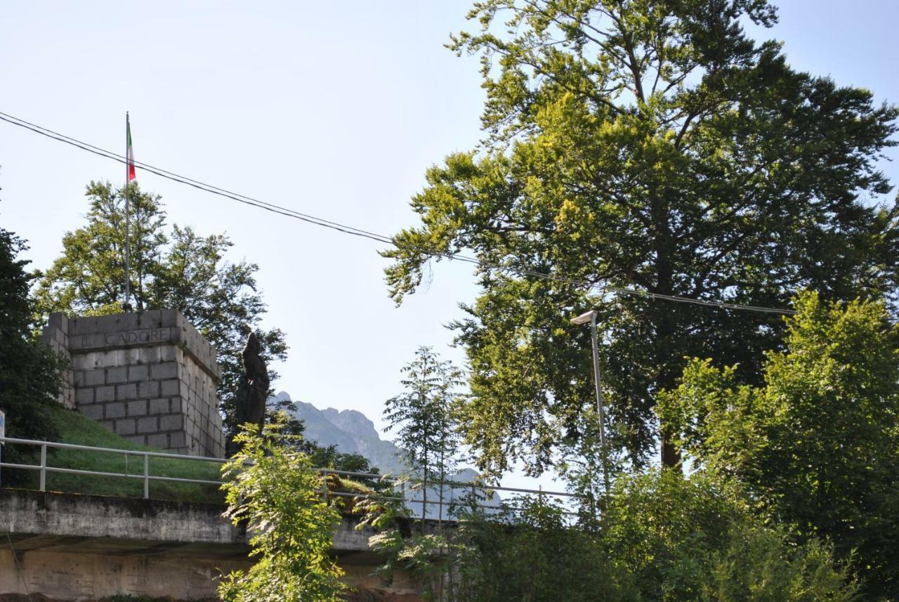 La Casa Di Monte Ricco Apartment Pieve di Cadore Luaran gambar