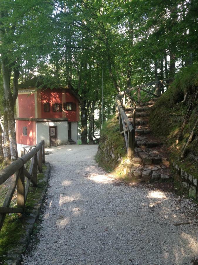 La Casa Di Monte Ricco Apartment Pieve di Cadore Luaran gambar