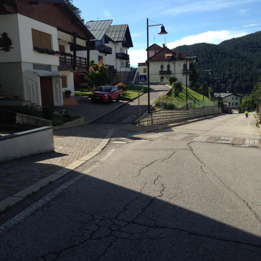 La Casa Di Monte Ricco Apartment Pieve di Cadore Luaran gambar